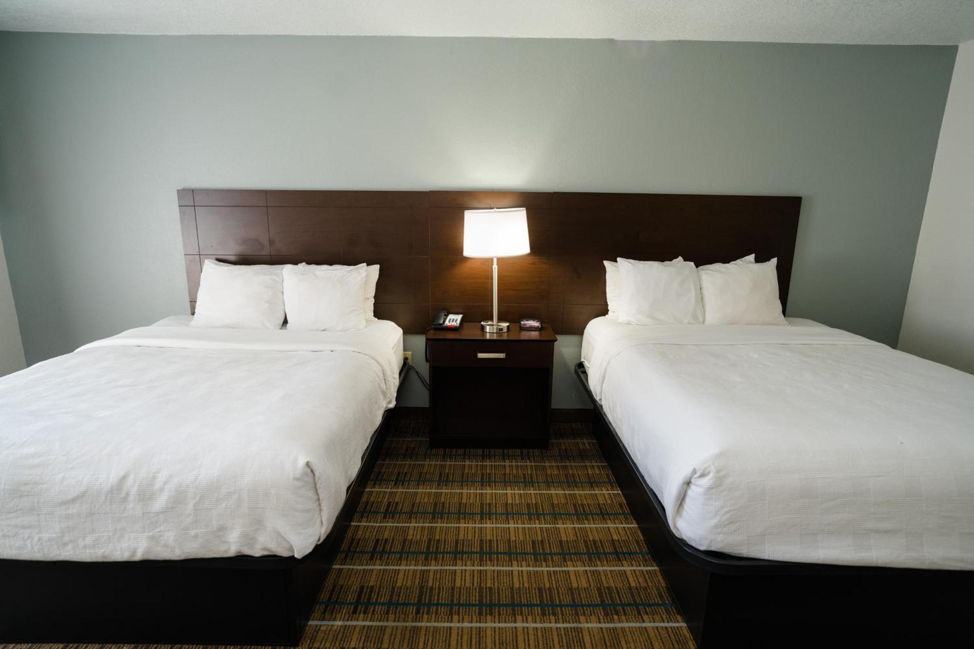 Mainstay Suites Knoxville North I-75 מראה חיצוני תמונה
